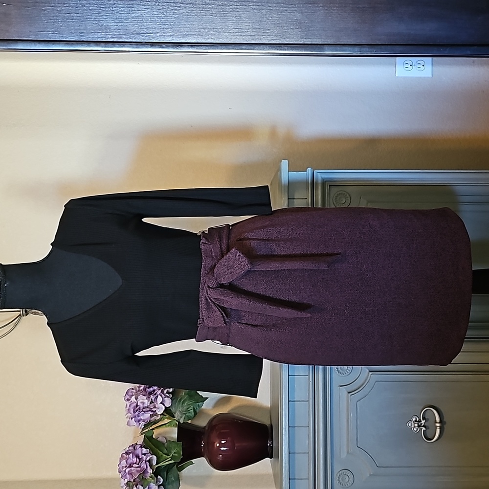 NWT 🎀 Express Black & Maroon Dress